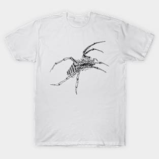 Spider drawing T-Shirt